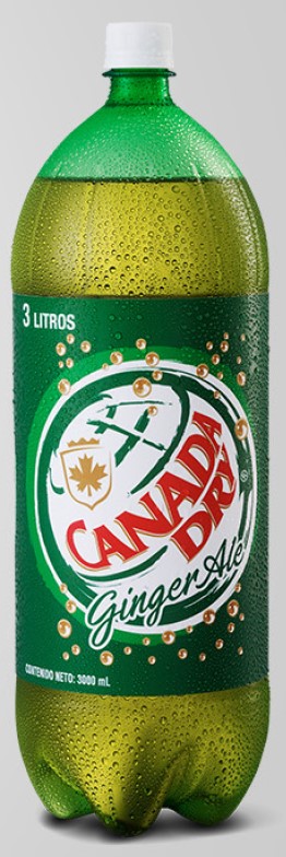 Canada Dry Gin  3l